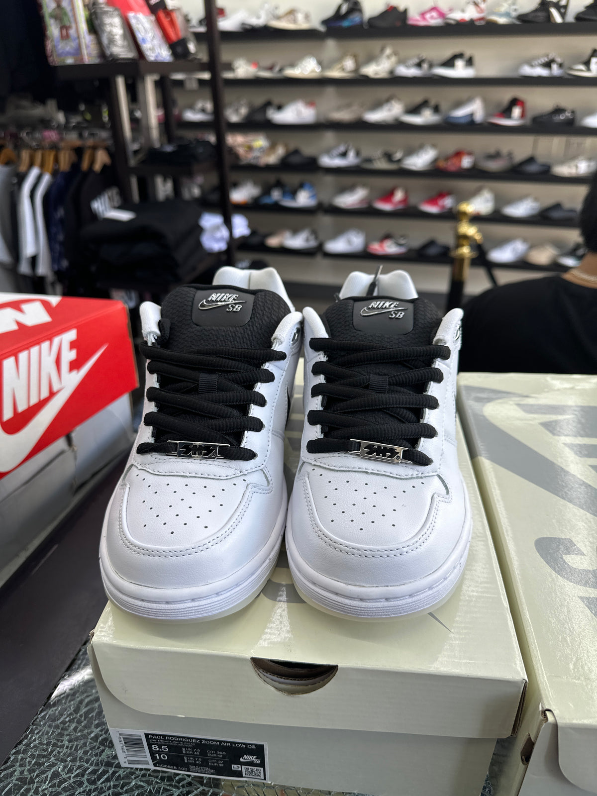 Nike SB Zoom Paul Rodriguez New