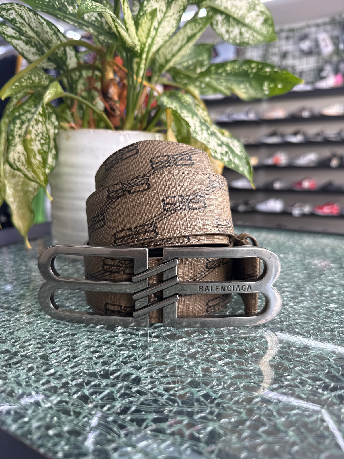 Balenciaga BB Signature Canvas Leather Belt Monogram Beige