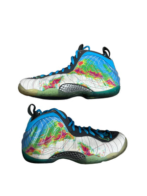 Nike Air Foamposite One Weatherman Preloved