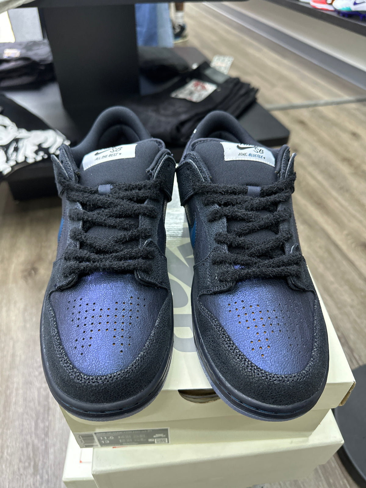 Nike Dunk Low Bluetile Skateboards New
