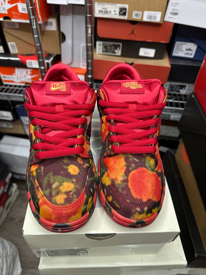 Nike Dunk Wizard of Oz Poppy Field New
