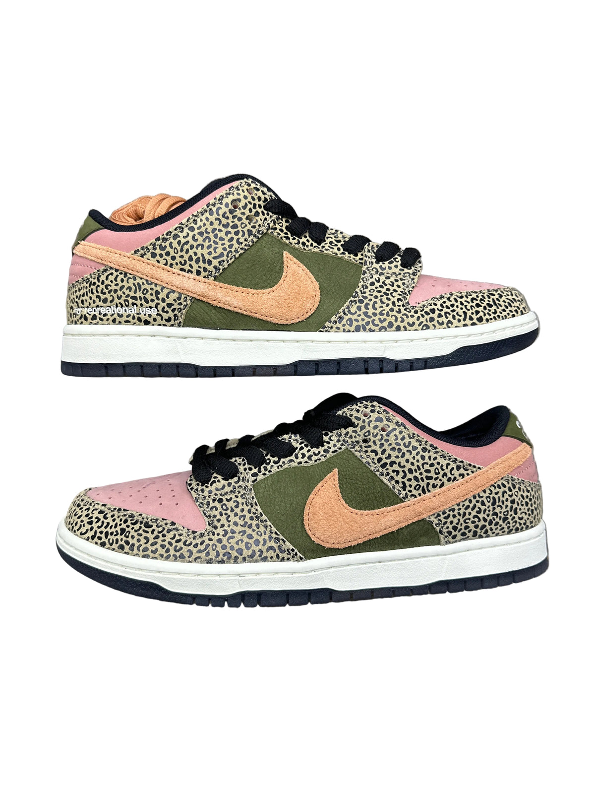 Nike SB Dunk x Arts & Rec New