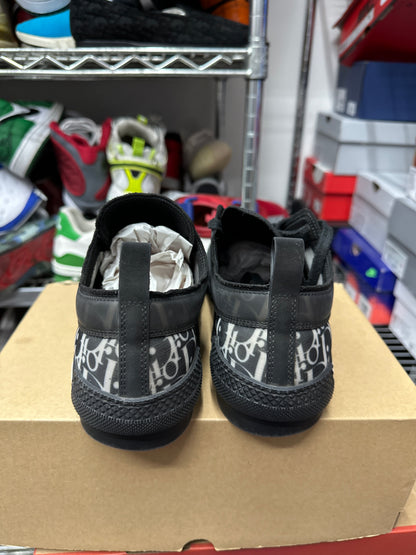 Dior B23 Low Top Canvas Oblique Preloved