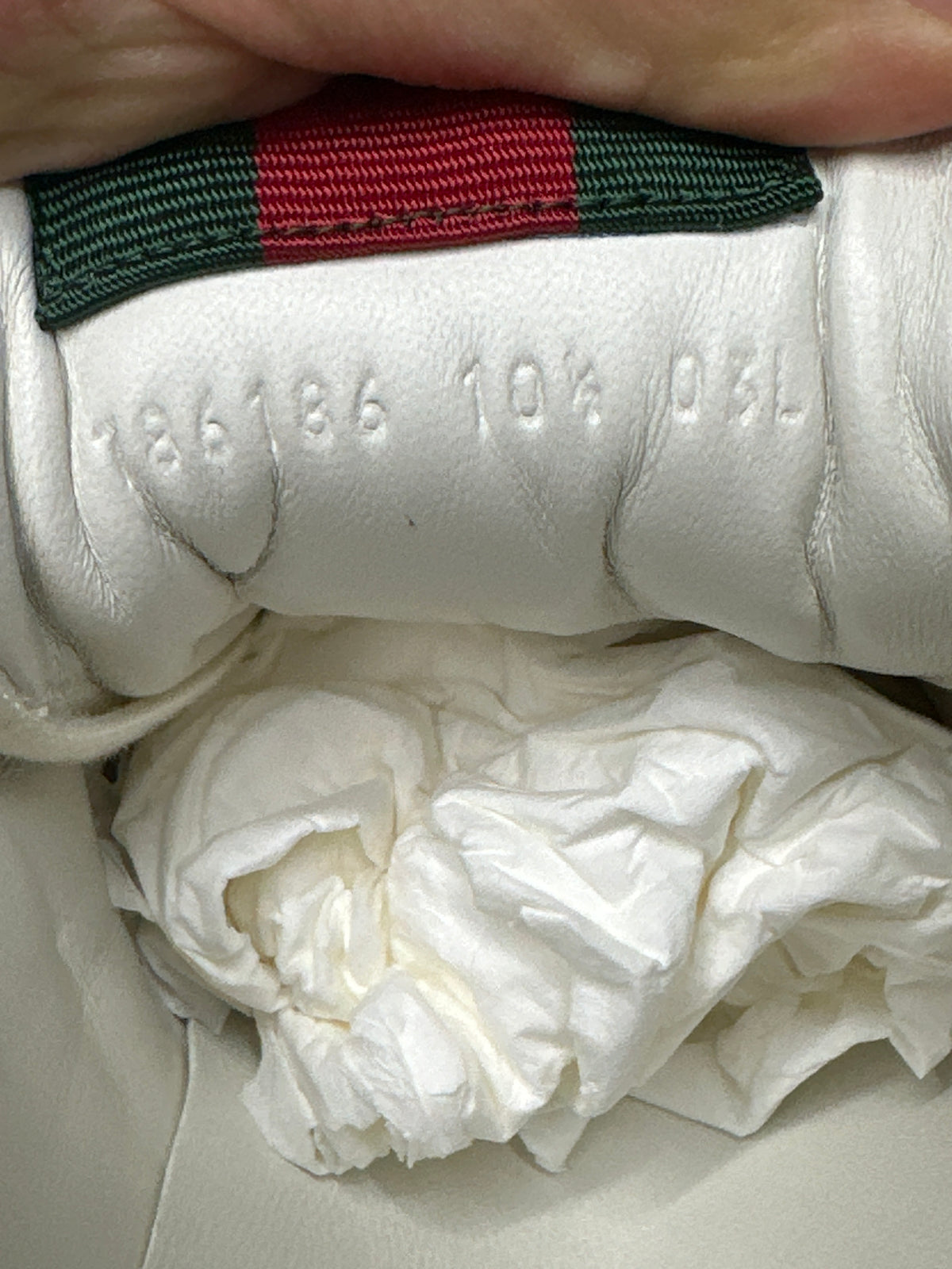 Gucci Re-Web White New