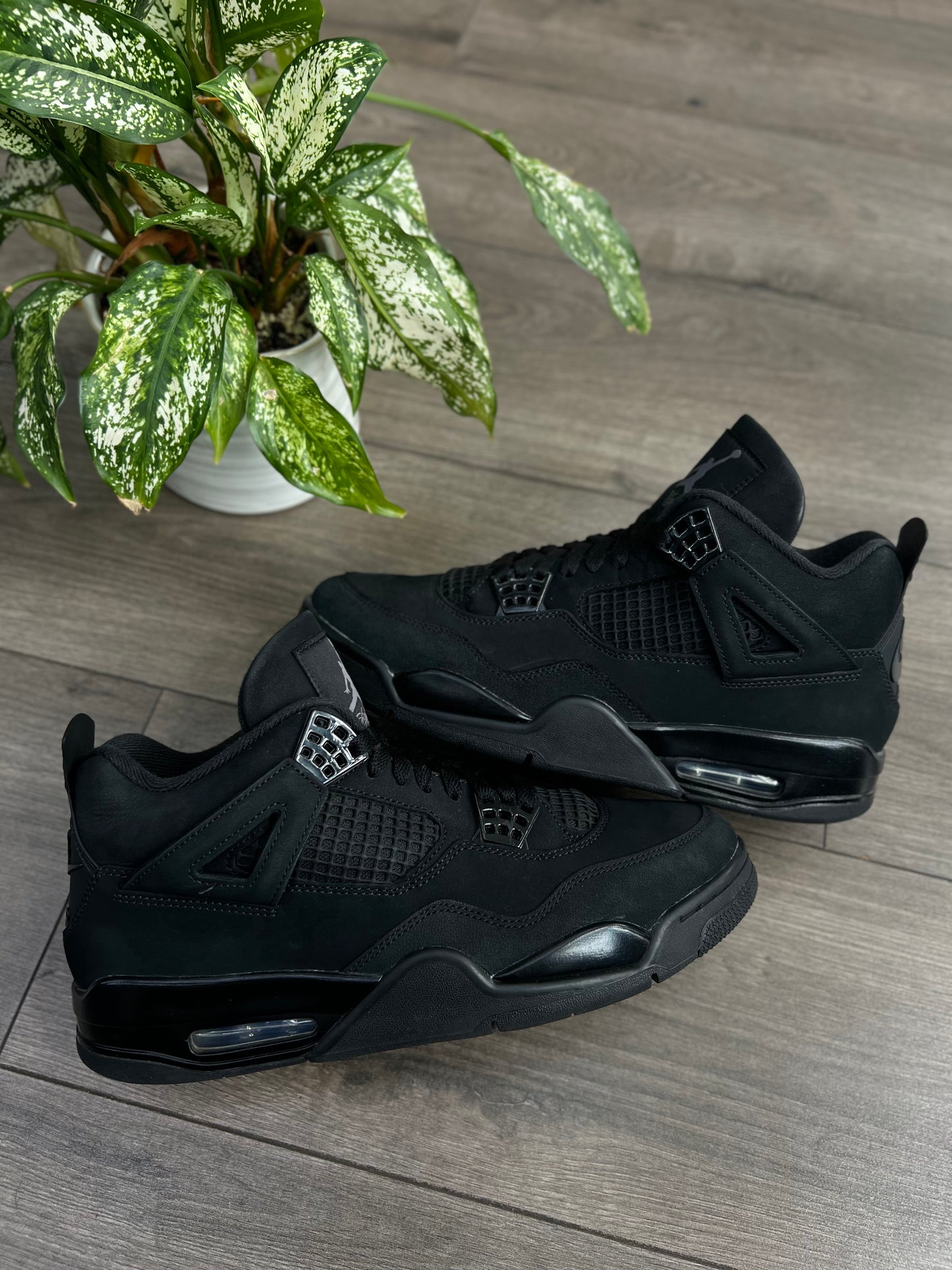 Jordan 4 Black Cat Preloved